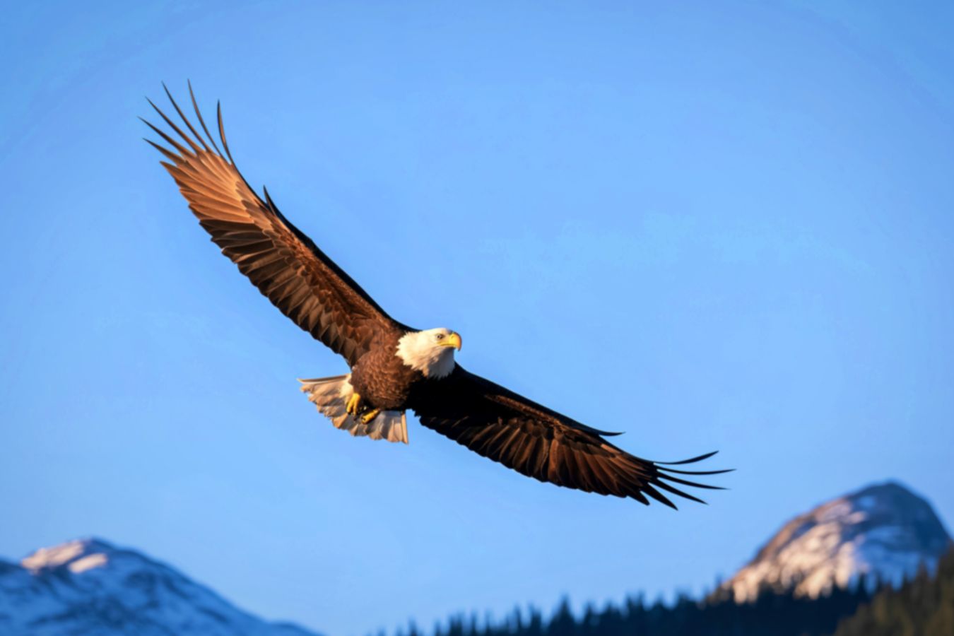 Light in the Waiting &#8211; Strength for the Weary Leader