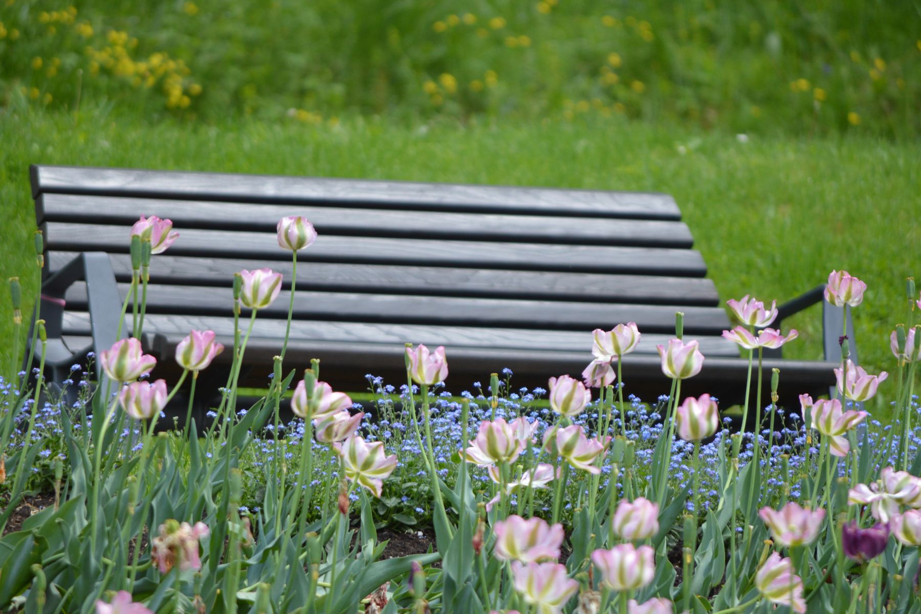 Coming Back Gently - returning after Half Term