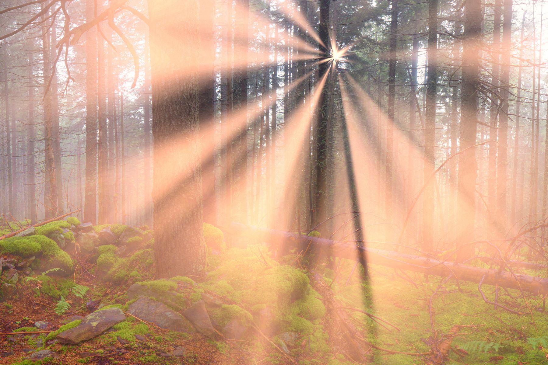 Be still... and Begin again.