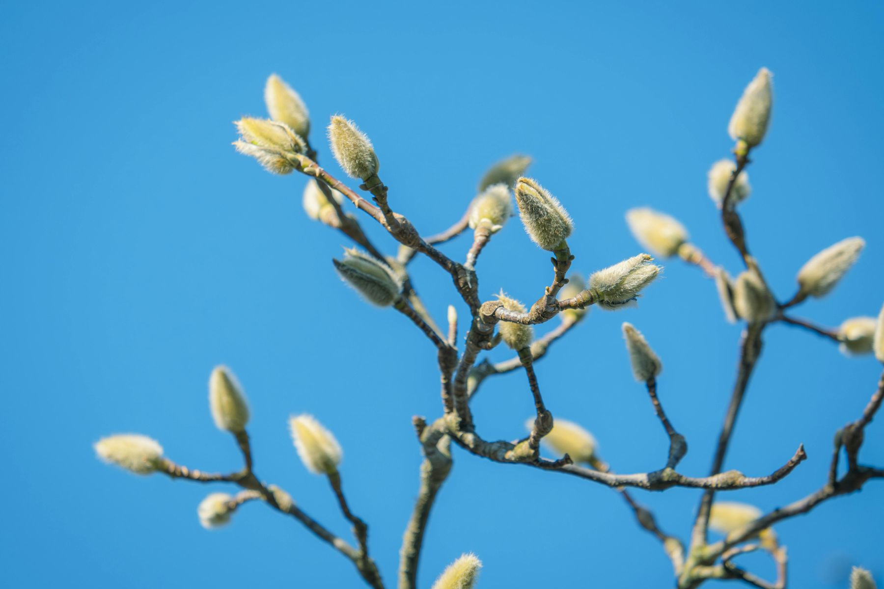 Leadership: When Experience Begins to Matter More Than Energy