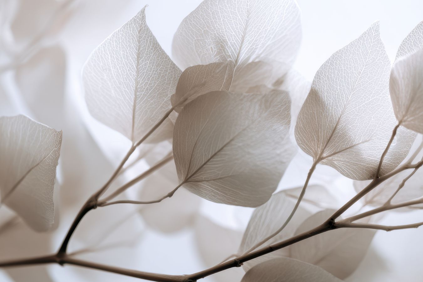 The Threshold: Listening for God in the Quiet Days